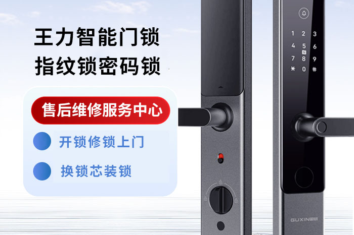 王力智能防盜門鎖